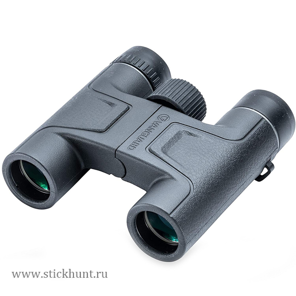 Бинокль Vanguard Vesta 10X25 Бинокль Vanguard Vesta 10X25