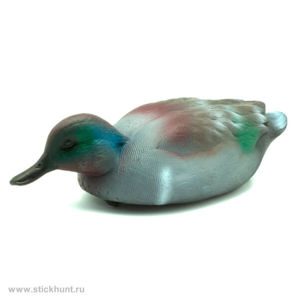 Чучело подсадной селезень Чирок