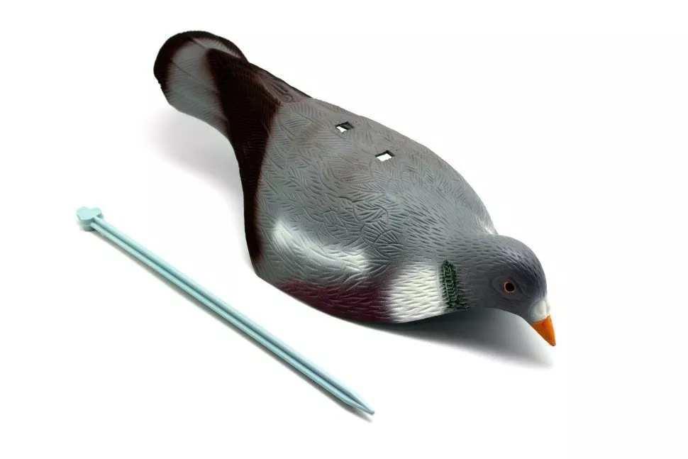 голубь вяхирь чучела спорт пласт скорлупа. вяхирь чучела. скорлупа вяхиря спортпласт. чучела вяхиря пенополистирол. голубиной чучела для охоты.