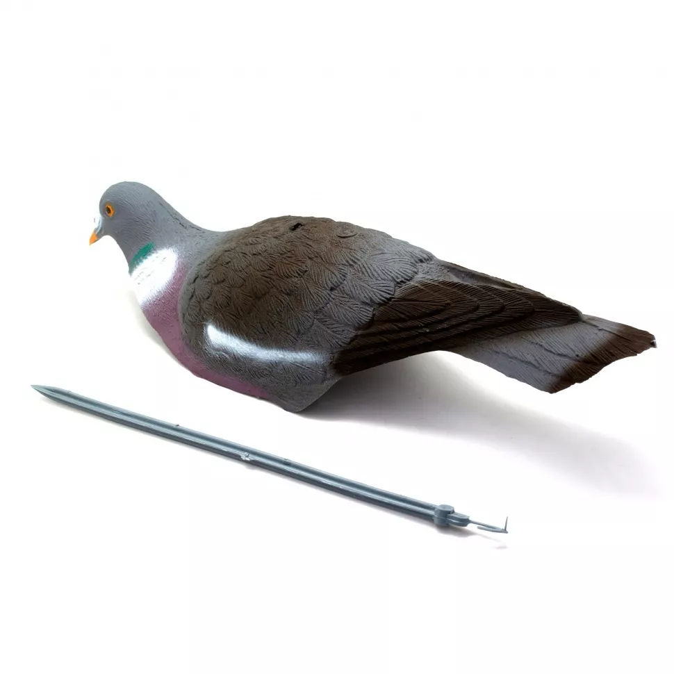 вяхирь чучела. чучела голубей для охоты. профиль голубя вяхиря. вяхирь. вяхирь чучела.
