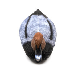 Чучело утиное Стикхант №21 Красноголовый нырок селезень сминаемое резиновое