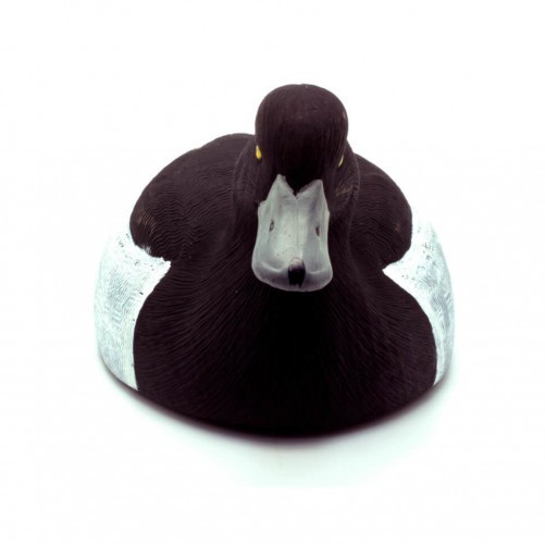 Чучело подсадной селезень Чернеть