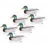 Набор чучел утиных Mankoff 10102 Селезень 6 шт