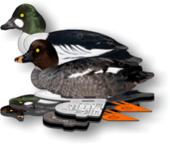 Набор чучел гоголя NRA FUD Goldeneye 6 шт