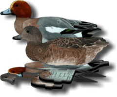 Набор чучел свиязь NRA FUD European Wigeon 6 шт