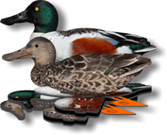 Набор чучел уток NRA FUD Northern Shoveler 6 шт