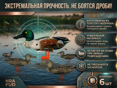 Набор чучел уток NRA FUD Northern Shoveler 6 шт