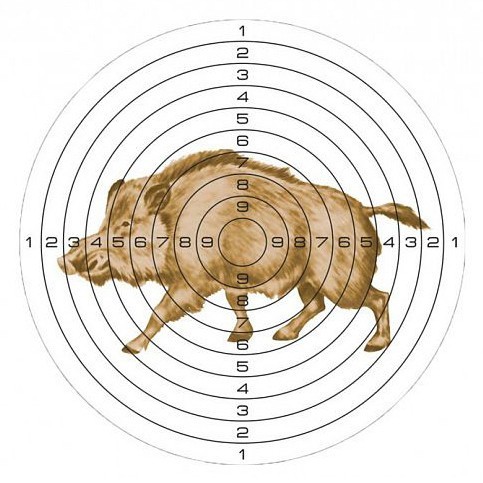 Мишень бумажная Стикхант Кабан для пневматического оружия 140x140 мм 50 шт