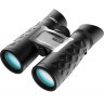 Бинокль Steiner BluHorizons 10X42 (2345) Roof | BAK-4