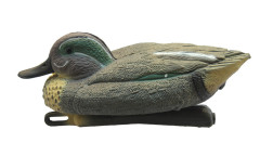Чучело чирка плавающего (селезень) Birdland