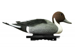 Чучело шилохвости плавающей (селезень) Sport Plast нескладное пластик