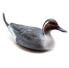 Чучело утиное Стикхант №19 Шилохвость селезень сминаемое резиновое