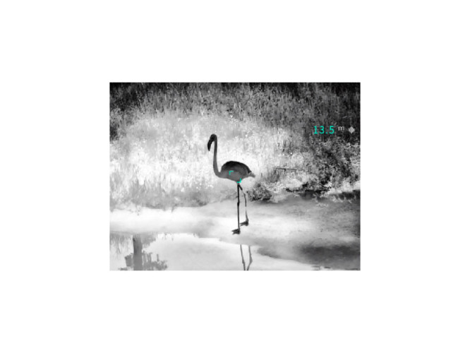 Бинокль тепловизионный Guide TN430 2.3-9.2X35 (TN430) M=400х300 Обнаружение 1000 м с лазерным дальномером